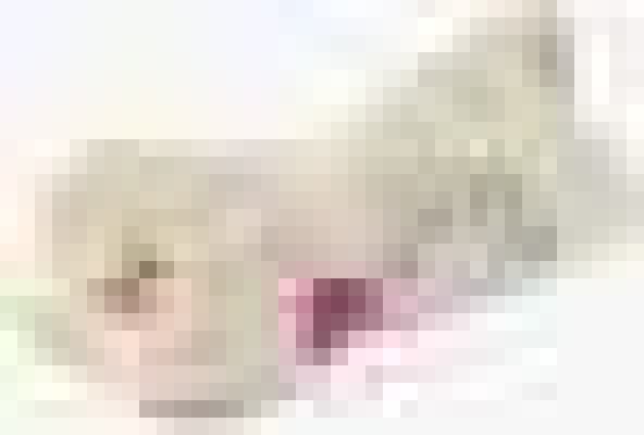 Подушка «Кость», 45х20 см, цвет МИКС, лузга гречихи